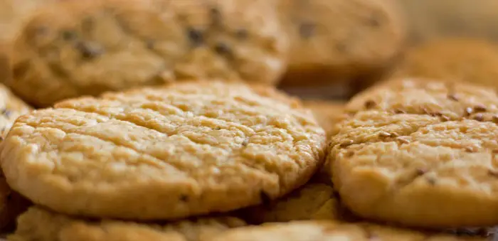 Biscuits apéritif à l'emmental . Photo d'Alain pour Line Lisbonne et Cie