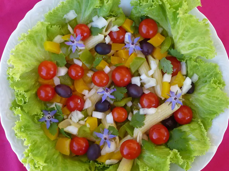 Salade de juillet en couleurs
