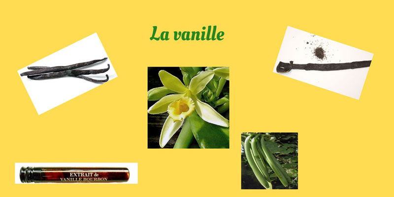 La vanille en cuisine