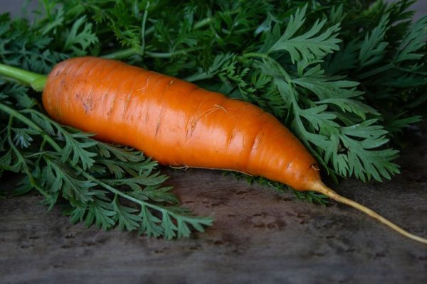 Soupe de 3 légumes aux fanes de carottes