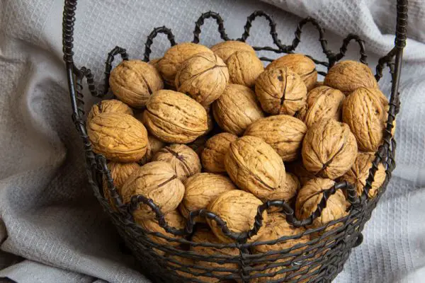 Panier de noix de l'année dans leur coque