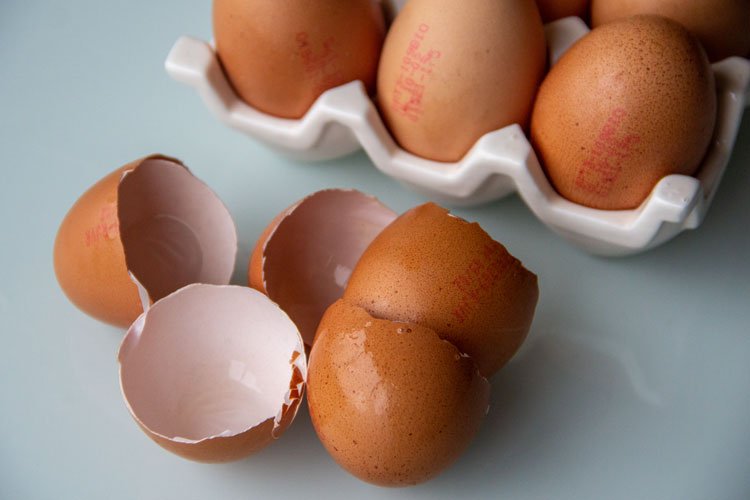 Les œufs : les choisir, les utiliser et les conserver