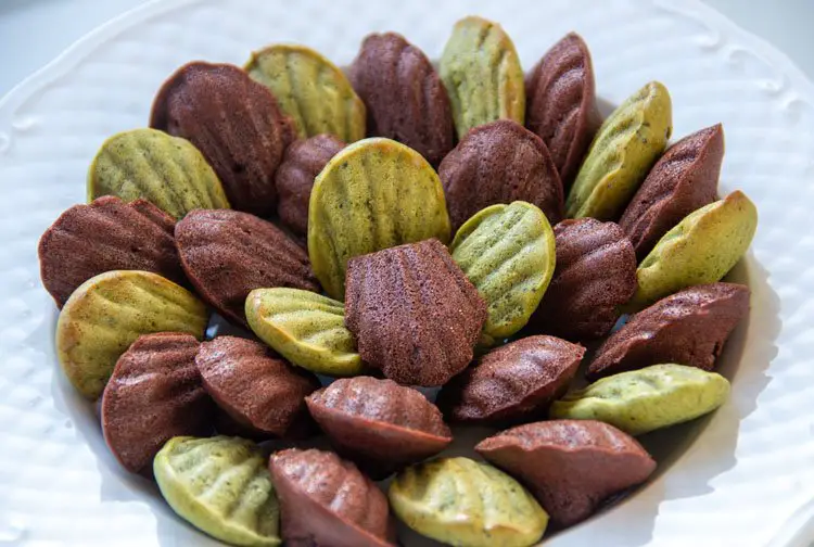 Mini-madeleines au Matcha et au cacao
