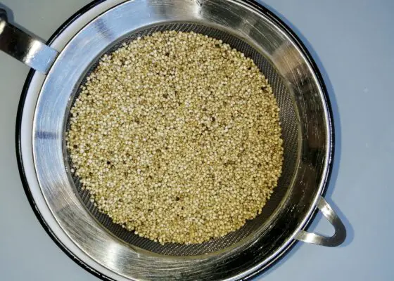 Graines de quinoa crues égouttées