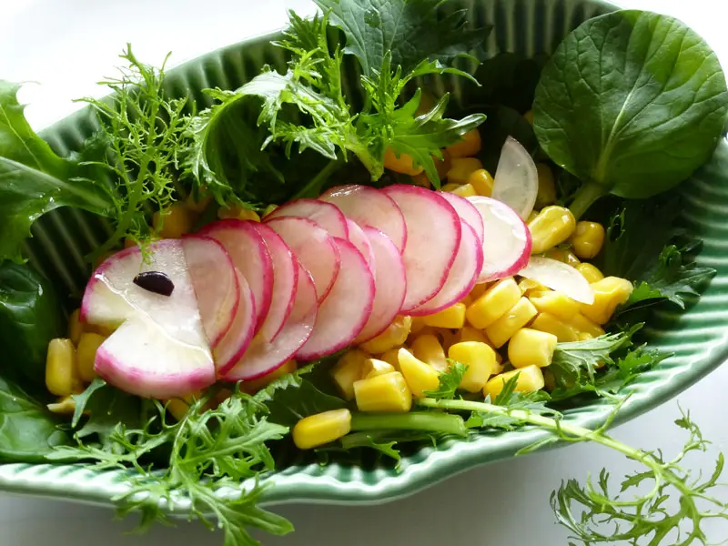 Poisson-radis en salade pour Pâques dans un ravier individuel