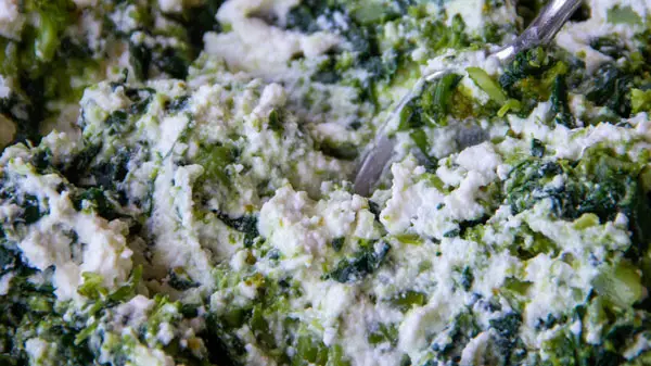 Farce des cannelloni- phase 1 : brocoli, épinards, ricotta