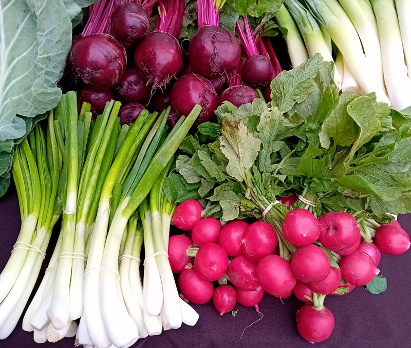 Étal de marché, légumes de mai à Lisbonne